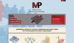 MP Business Consulting
